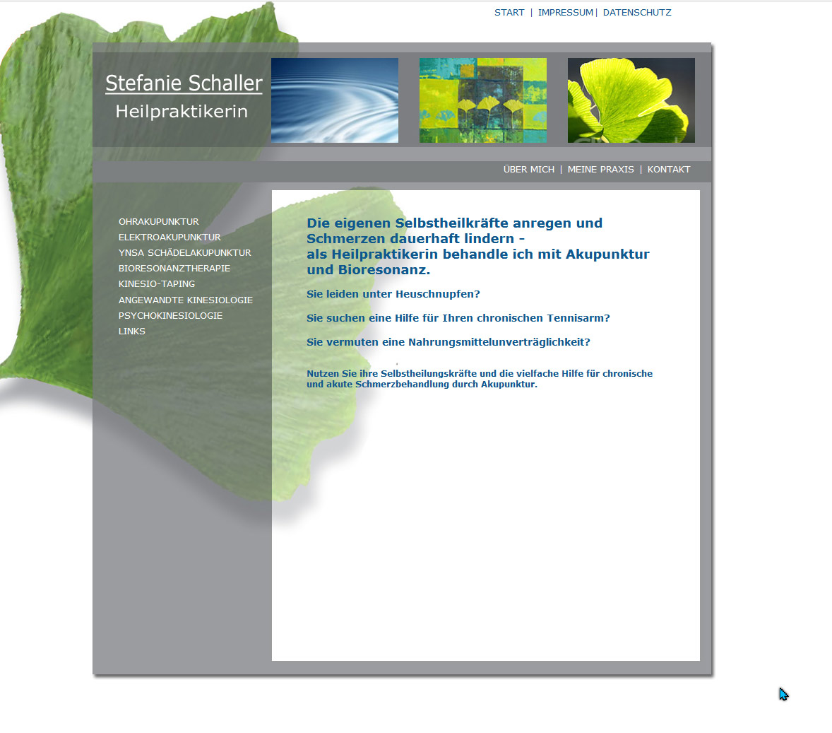 Schaller Website alt