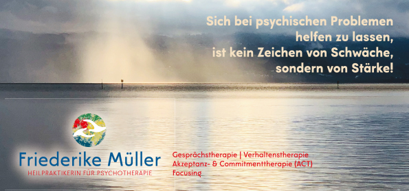 Flyer Müller